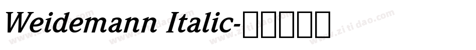 Weidemann Italic字体转换